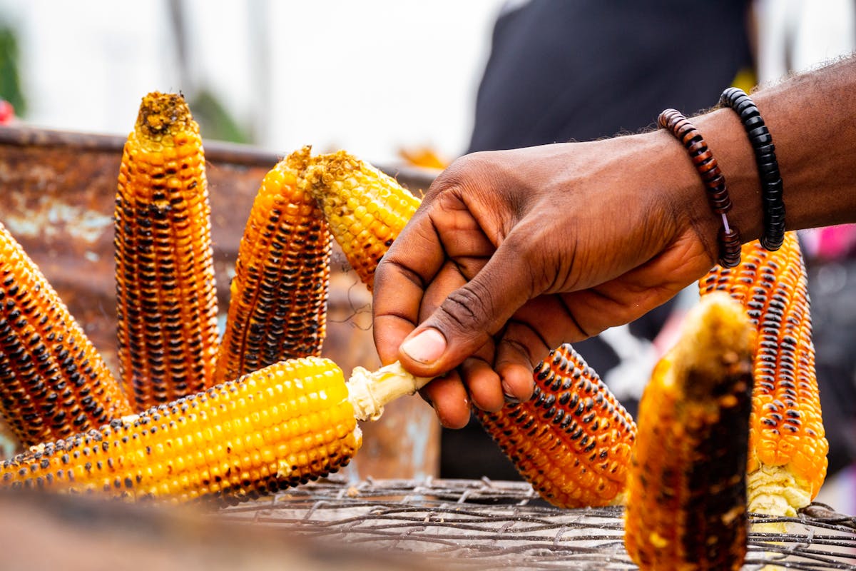 A hand turning charred corn on a street vendor's grill