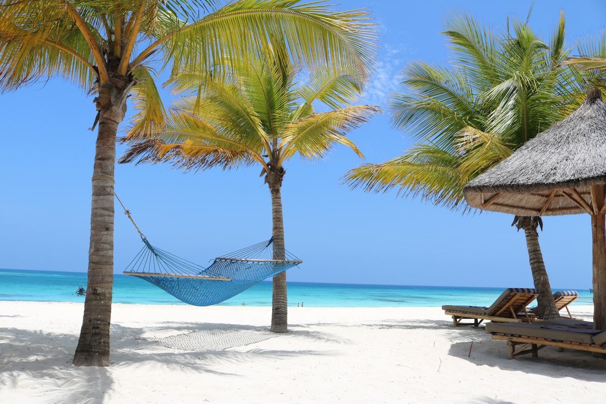 An empty hammock strung between palm trees on a white-sand beach