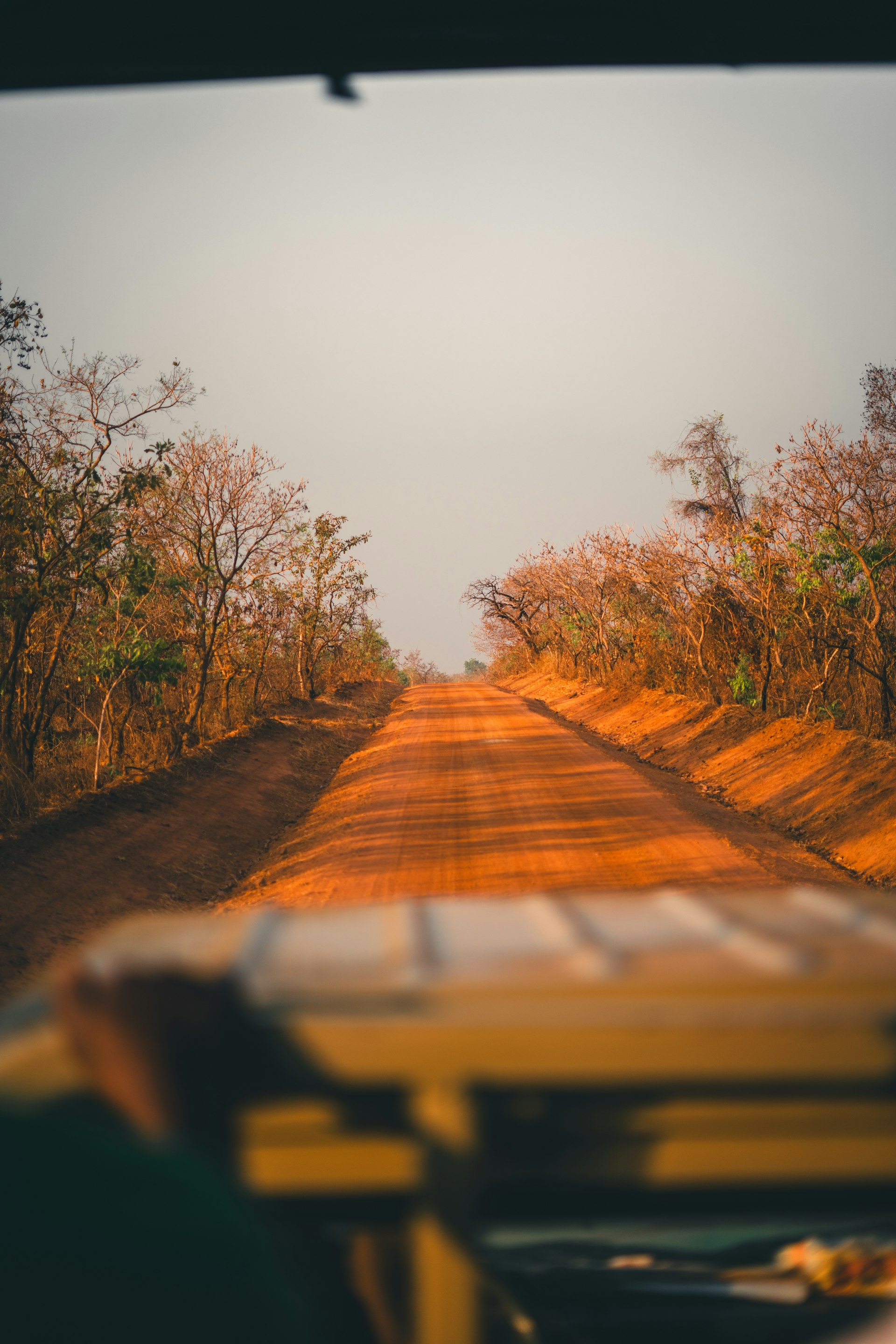 A dirt road through savannah near Mole National Park, Northern Ghana